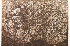 0_Jozefowicz-Maciej-wyroznienie-AB-7