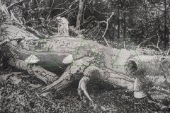 0_Nowak-Pawel-Meritum-I