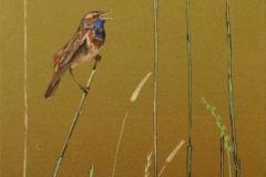 0_PODRC393C5BBNICZEK-30-x-100-cm-1-scaled-1-scaled