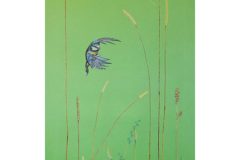 0_apla-z-modraszkC485-1-scaled