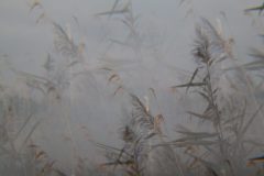 IMG_9277-1-1024x683-1