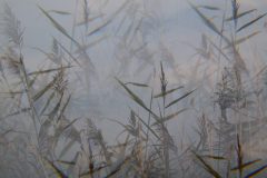 IMG_9283-1-1024x683-1