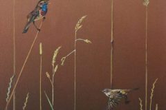 Trzciniak-i-podrozniczek-04-2025-scaled