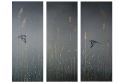 tryptyk-pliszka-luty_marzec-2025-1