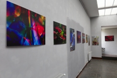 IMG_2644_KW